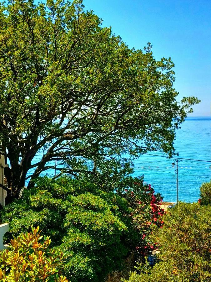Villa Nadalina Sutomore Bagian luar foto